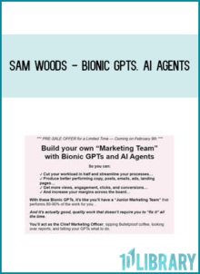 Sam Woods - Bionic GPTs. AI Agents